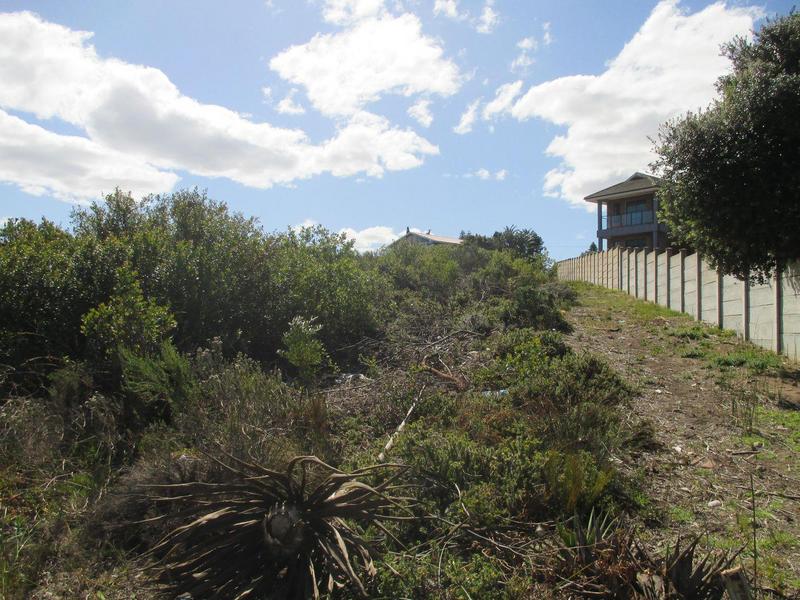 0 Bedroom Property for Sale in Dana Bay Western Cape